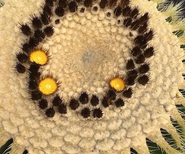 El Caserio De Gueime Con Piscina Climatizada Lantställe *